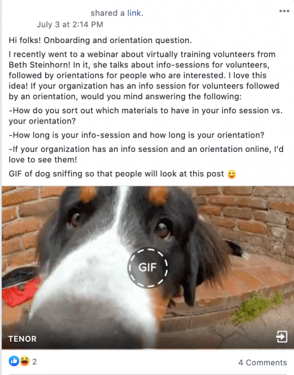 Hi folks! Onboarding and orientation question.

I recently went to a webinar about virtually training volunteers from Beth Steinhorn! In it, she talks about info-sessions for volunteers, followed by orientations for people who are interested. I love this idea! If your organization has an info session for volunteers followed by an orientation, would you mind answering the following:

-How do you sort out which materials to have in your info session vs. your orientation?

-How long is your info-session and how long is your orientation?

-If your organization has an info session and an orientation online, I'd love to see them!

GIF of dog sniffing so that people will look at this post :)
