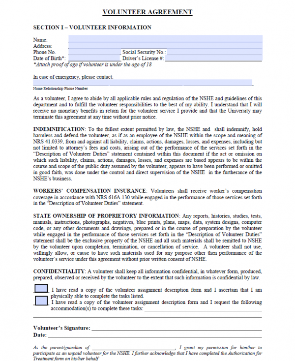 Volunteer Agreement Digital PDF Example