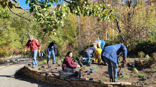Photo of Weber County Master Gardeners volunteers working in the Ogden Botanical Garden