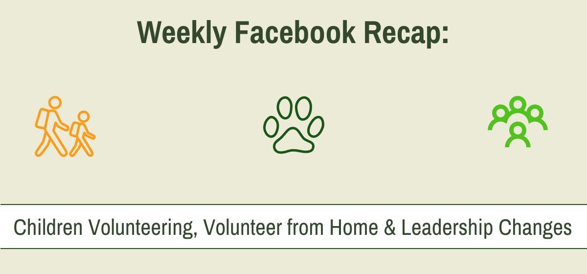 Weekly Recap from Facebook Icons
