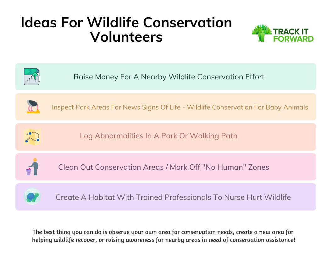 Ideas For Wildlife Conservation Volunteers 
Raise Money For A Nearby Wildlife Conservation Effort 
Inspect Park Areas For News Signs Of Life - Wildlife Conservation For Baby Animals
Log Abnormalities In A Park Or Walking Path 
Clean Out Conservation Areas / Mark Off 