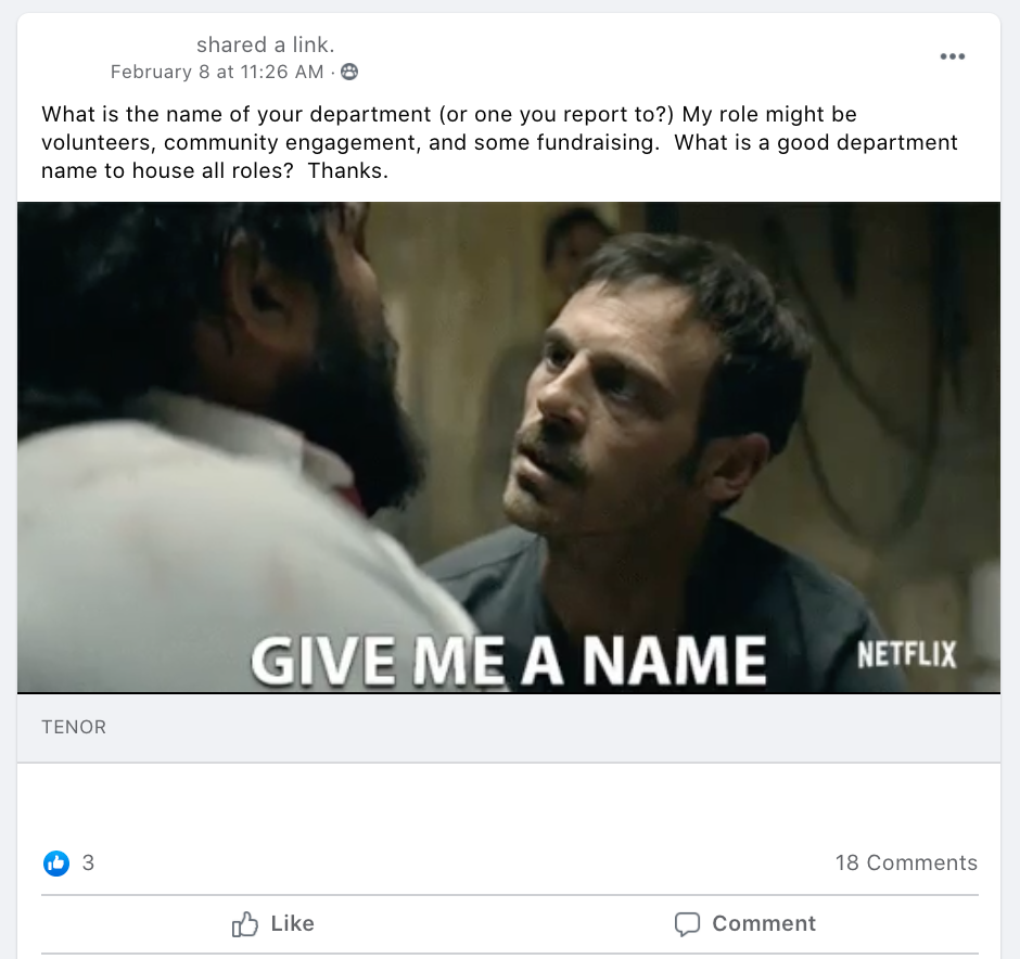 What is the name of your department (or one you report to?) My role might be volunteers, community engagement, and some fundraising.  What is a good department name to house all roles?  Thanks.